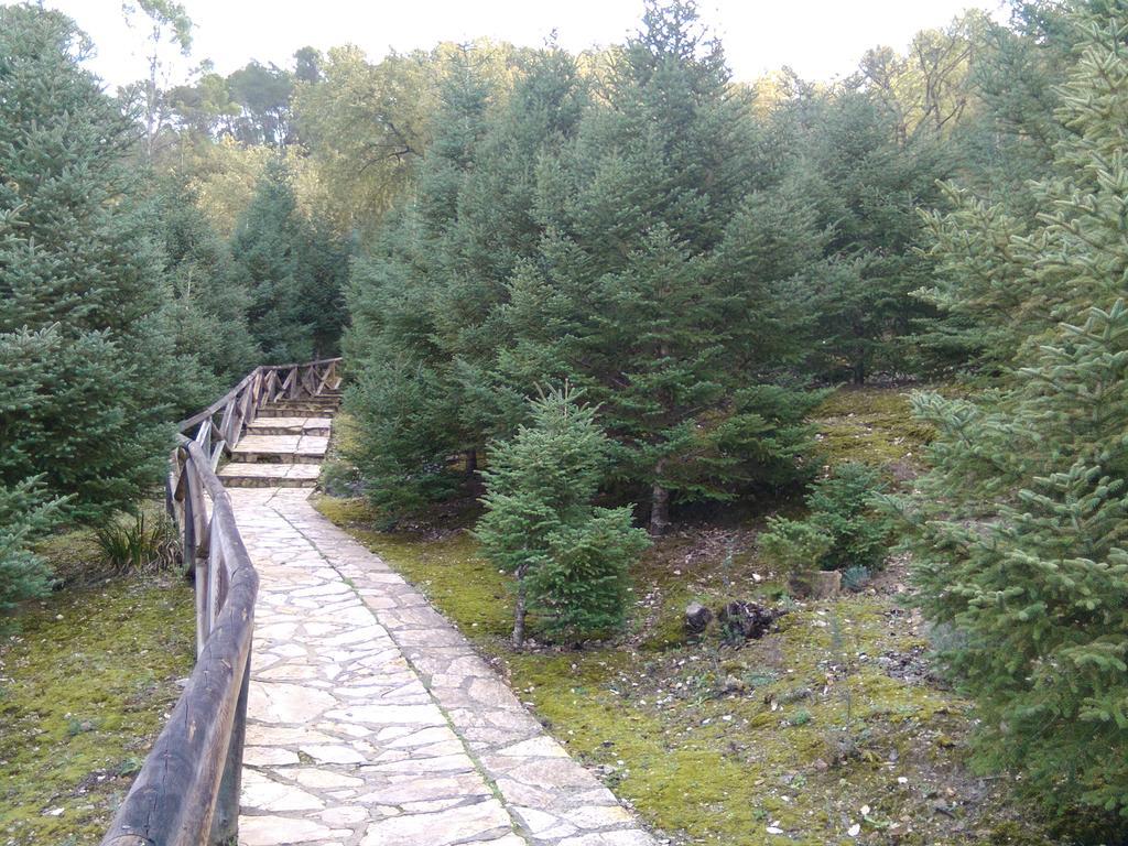 Casa Paco Pension El Bosque Buitenkant foto